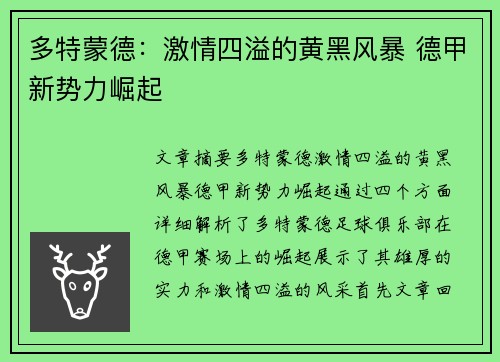 多特蒙德：激情四溢的黄黑风暴 德甲新势力崛起
